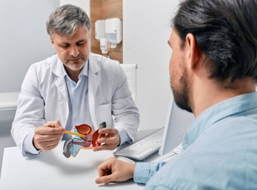 Doctor urologist consulting patient with prostatitis, explaining to him methods of treatment using anatomical model of male reproductive system. Prostatitis treatment